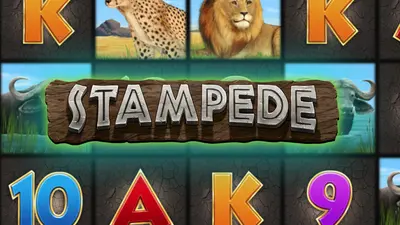 stampede